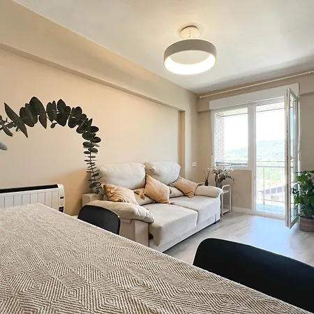 Lägenhet Vacacional Zamudio